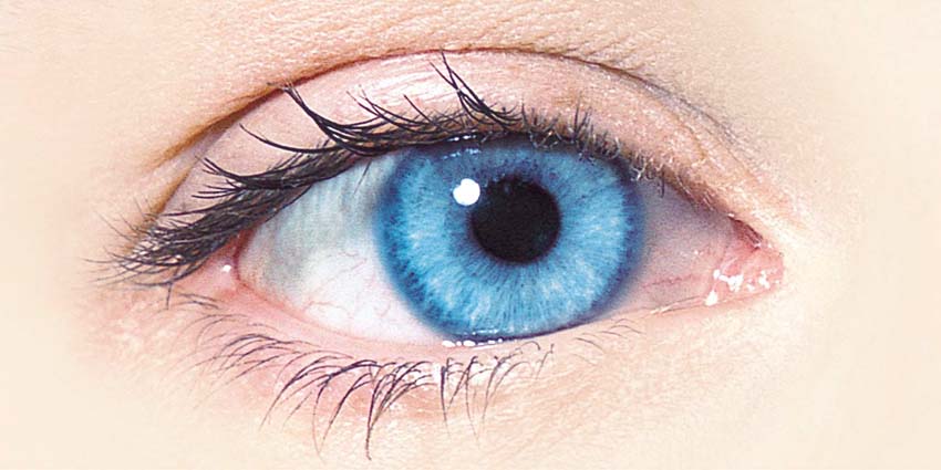 ENEYE2.jpg